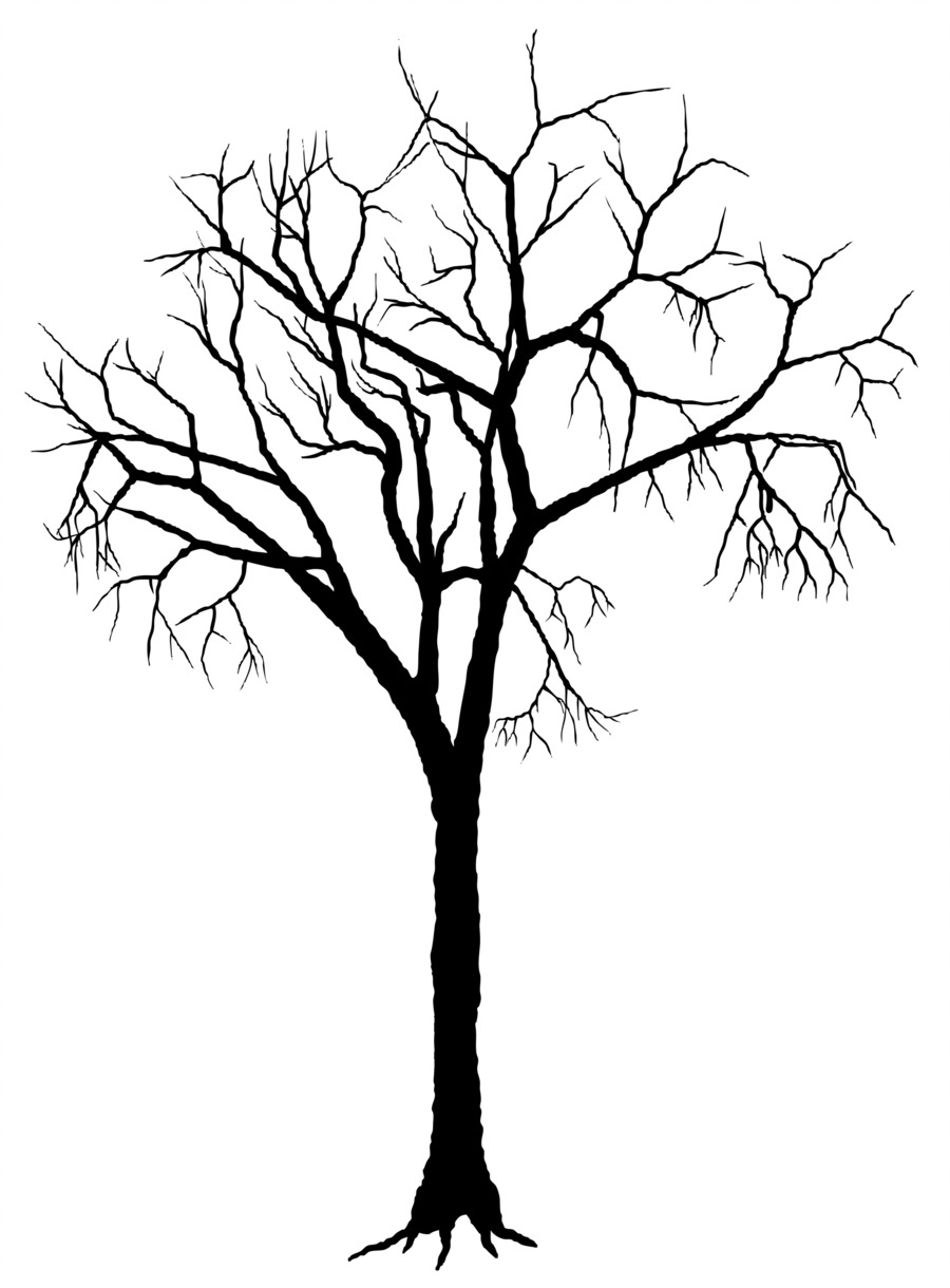 900x1220 Tree Silhouette Deciduous Clip Art
