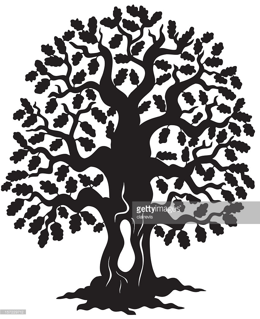 837x1024 Cartoon Oak Tree Group