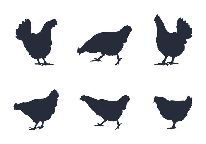 700x490 Rooster Silhouette