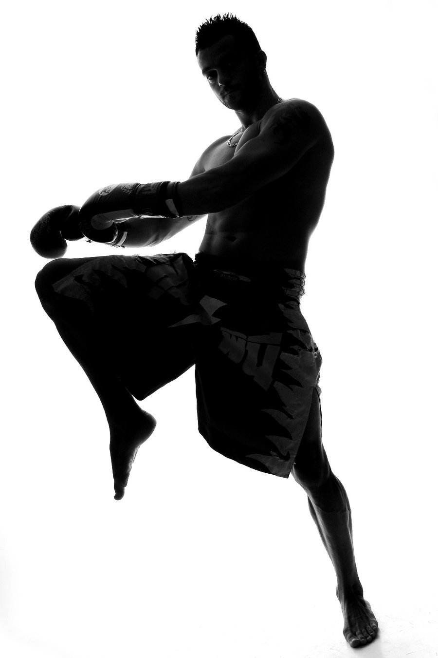 900x1350 Fighting Silhouette By Maranus