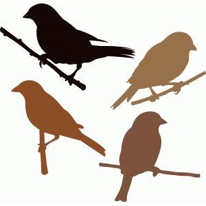 Finch Silhouette