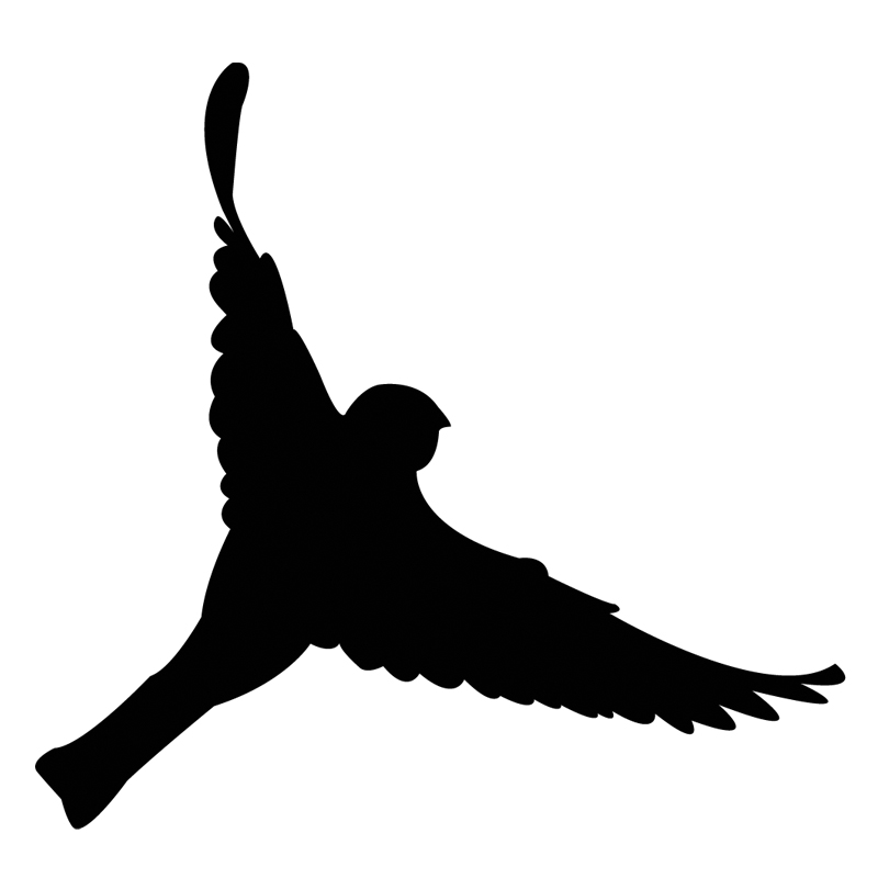 800x800 Finch Logo By Cat Heron