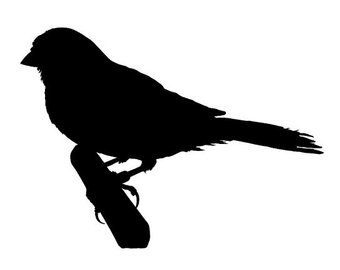 340x270 Finch Sticker Etsy