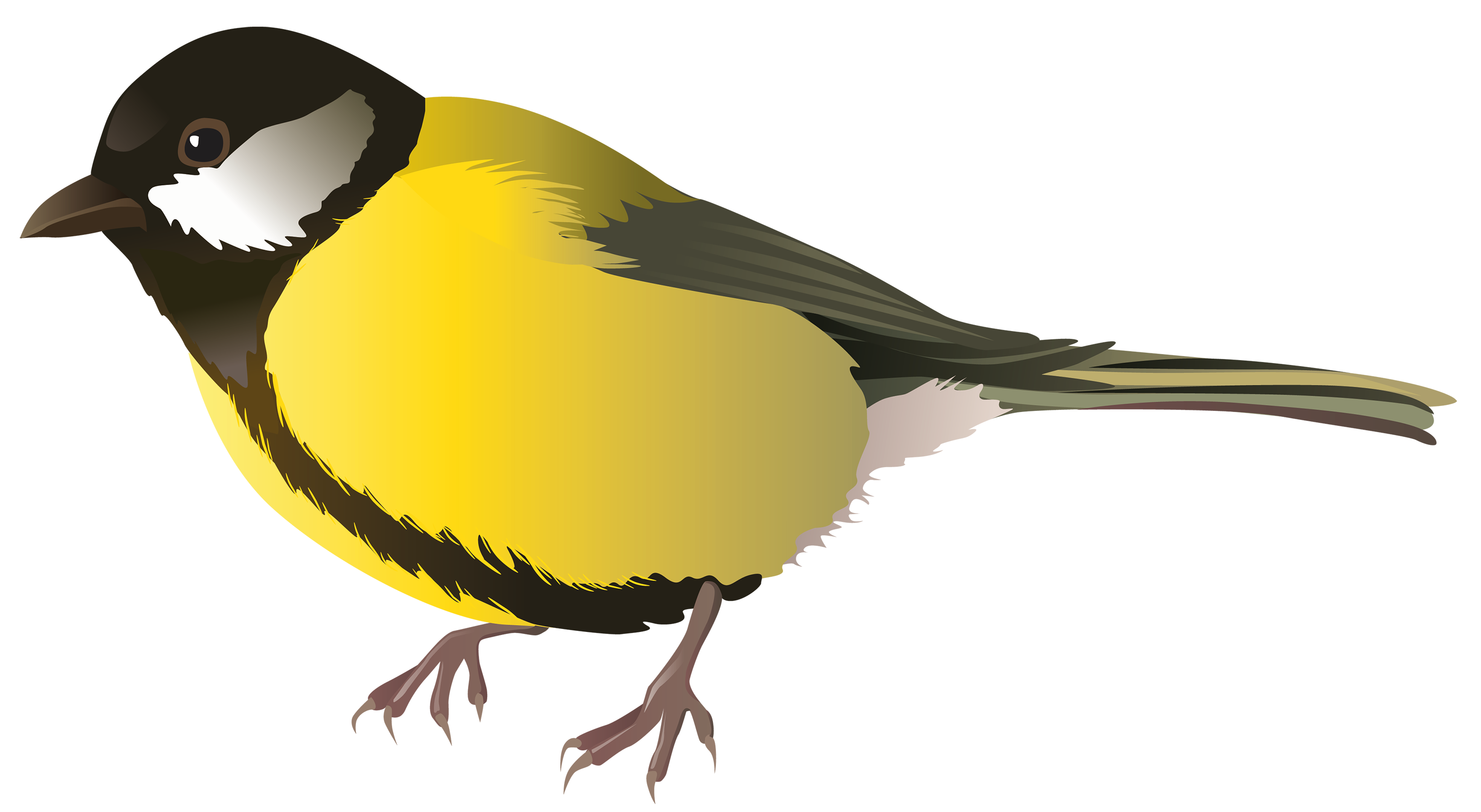 3000x1646 Homely Ideas Bird Clipart Cartoon Bunny Yellow Png Best Web Black