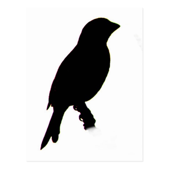 540x540 House Finch Silhouette Postcard