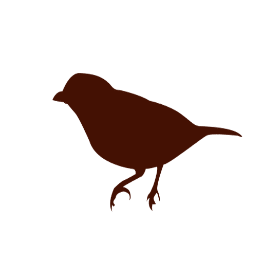 512x512 Passerine Bird Silhouette