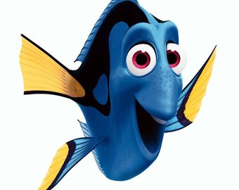 340x270 Finding Dory Decal Etsy