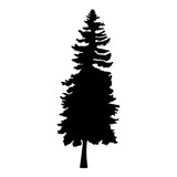 160x160 Hand Drawn Fir Tree Vector Illustration. Silhouette Of Black Pine