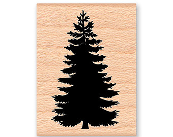 340x270 Lavinia Fir Tree Stamp