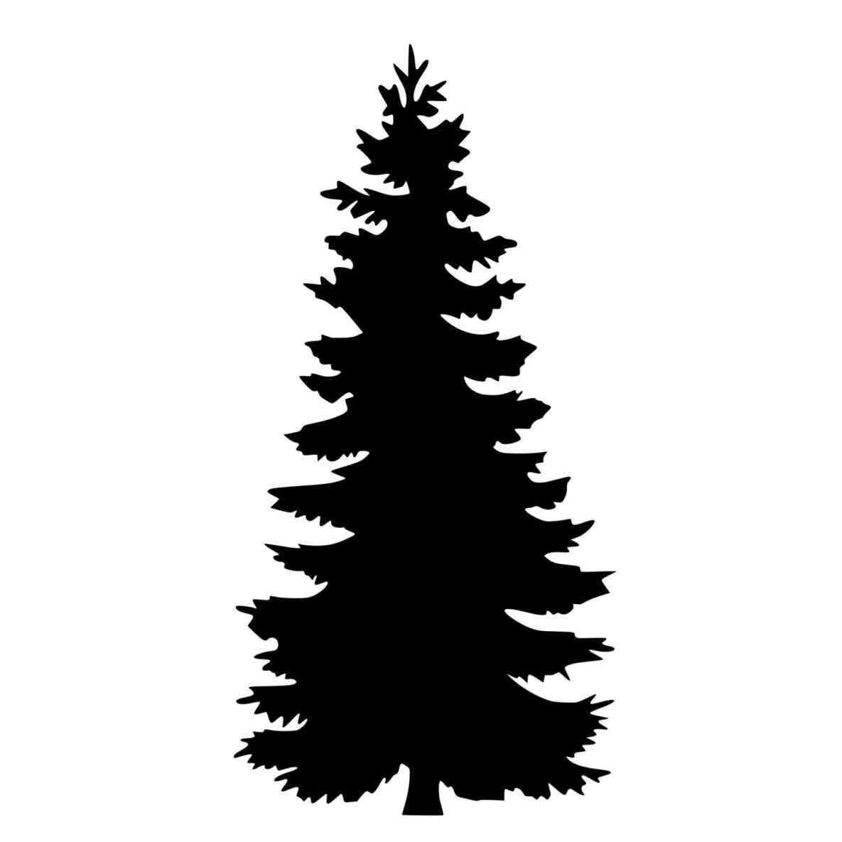 1185x1185 Evergreen Tree Silhouette.jpg National Parks
