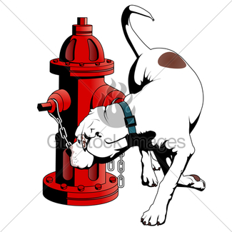325x325 Funny Dog And Fire Hydrant Gl Stock Images