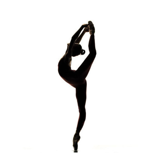 500x499 Dancer Silhouette Arabesque Clipart Panda