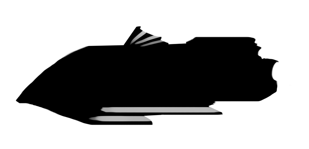 1057x509 Aubrey Todd