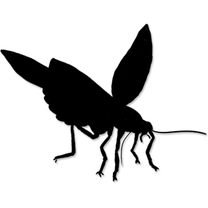 300x300 Silhouette Design Store