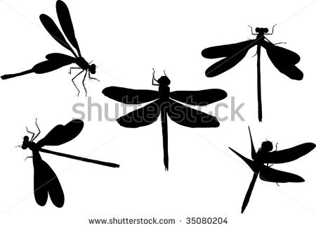 450x324 Dragonfly Silhouette Clipart Panda