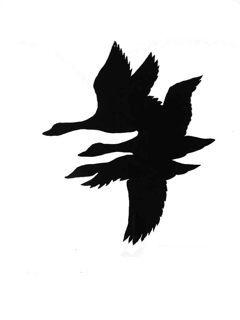 768x1024 Trout Silhouette