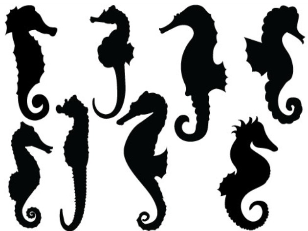 630x473 Pin By Sandra Flores On Siluetas Stenciling