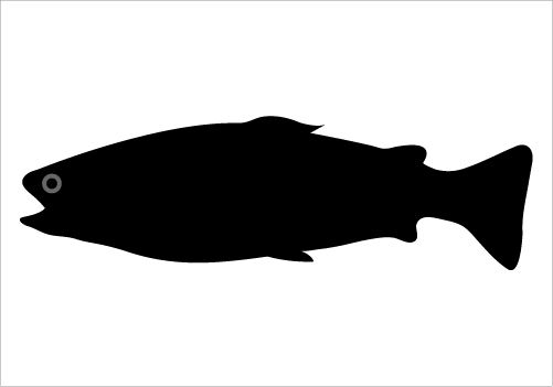 501x351 Salmon Fish Silhouette Graphics Silhouette Graphics