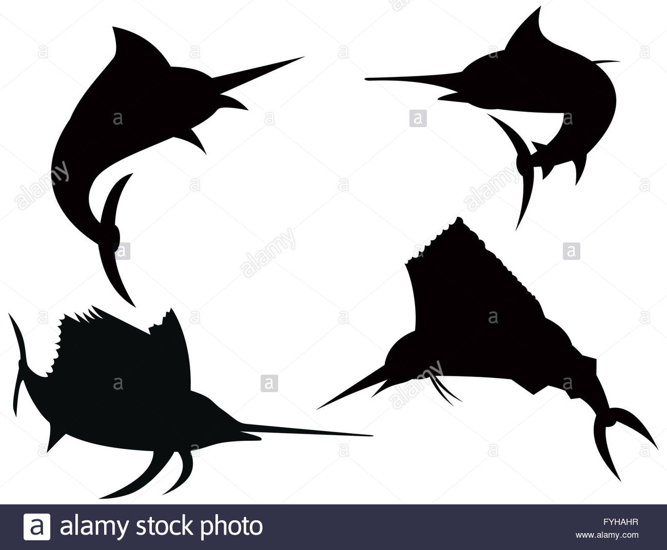 1300x1073 Blue Marlin Jumping Stock Photo 103029075