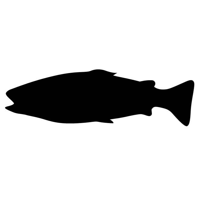 660x660 Silhouette Of A Fish