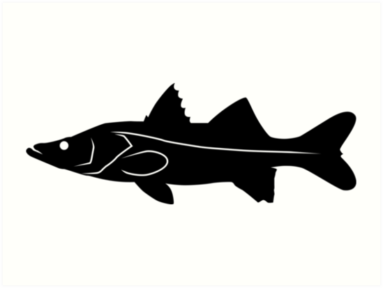 549x413 Snook Fish Silhouette (Black) Art Prints By Idrawsilhouettes