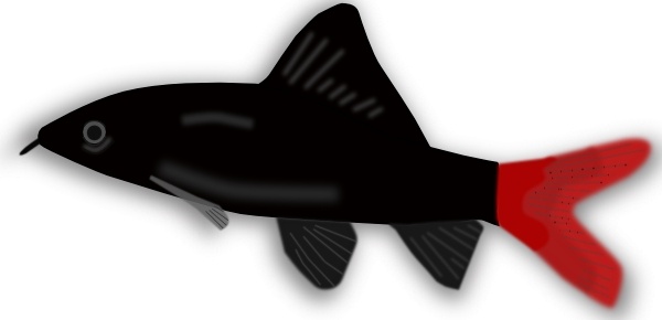 600x290 Fish Silhouette Free Vector Download (6,268 Free Vector)