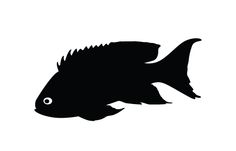 236x151 An Ideal Fish Silhouette Vector Clipart In Black And White Vector