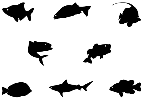 501x351 Koi Fish Clipart Silhouette Many Interesting Cliparts