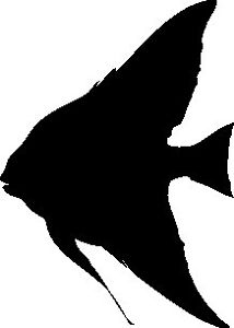 214x300 Angel Fish Silhouette Car Decal Sticker Ebay