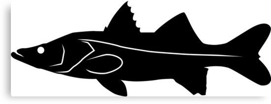 550x211 Snook Fish Silhouette (Black) Canvas Prints By Idrawsilhouettes