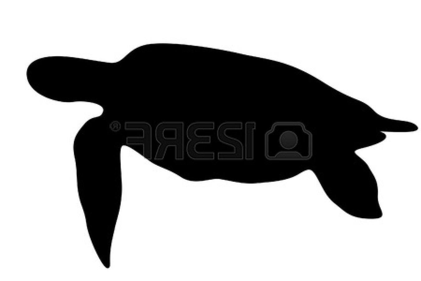 1350x900 Top Tropical Fish Silhouette Turtle On White Background Images
