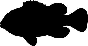 300x158 Fish Silhouette Celebrate Fish Silhouette