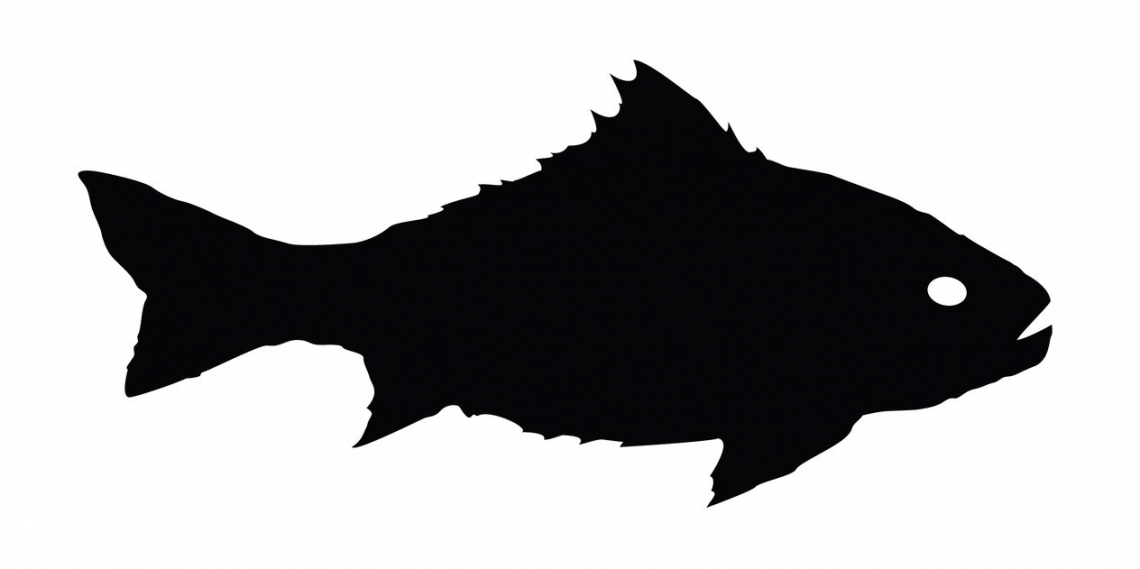 1140x569 Spiky Fish Silhouette