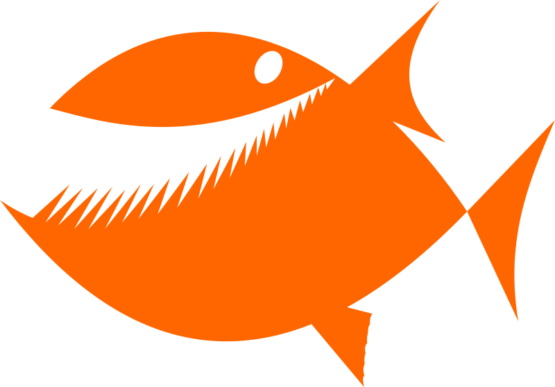 800x558 Fish Silhouette By Rones Free Vector 4vector