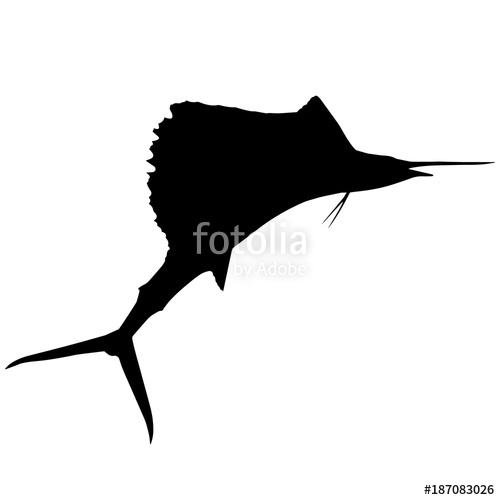 500x500 Sail Fish Silhouette Vector Graphics Stock Image And Royalty Free