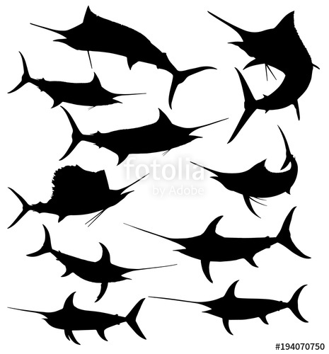 465x500 Fish Silhouettes Stock Image And Royalty Free Vector Files