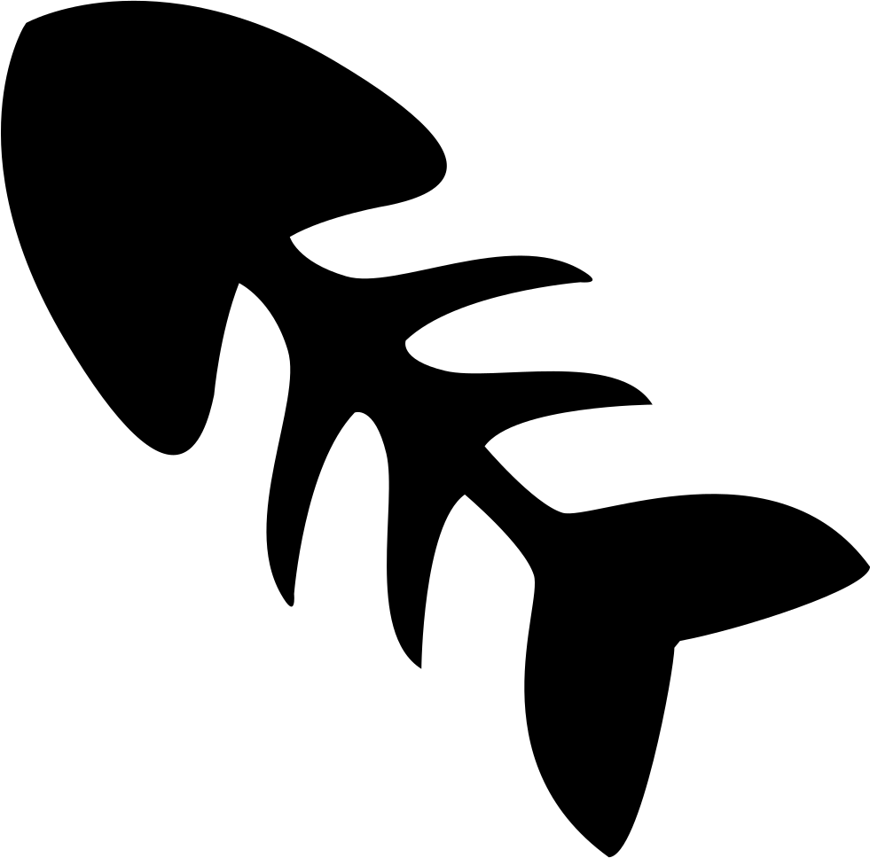 981x968 Black Fish Skeleton Silhouette Svg Png Icon Free Download ( 74416