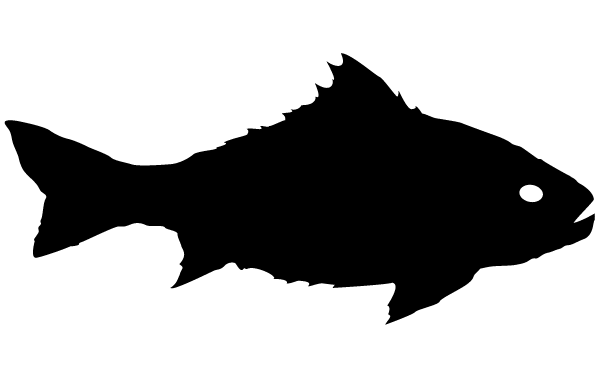 600x375 Fish Graphic Clip Art