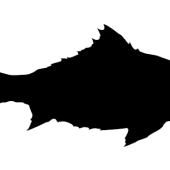 340x340 Fish Silhouette Free Vector 123freevectors