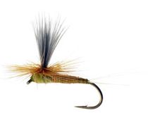 210x161 Ruben Martin