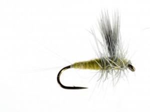 300x225 Best Dry Fly Patterns Catch Fly Fishing Billings, Mt