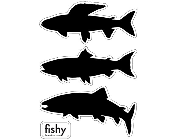 570x456 Fly Fishing Decals Grayling Trout And Salmon. Set Of 3