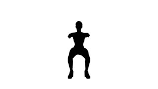 320x180 Animated Silhouette Of A Woman Doing Push Ups. Includes Alpha