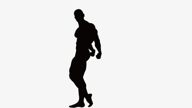650x366 Fitness Silhouette Figures, Fitness People, Silhouette Figures Png