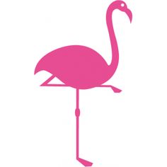 236x236 Joke Reubens (Jokereubens)