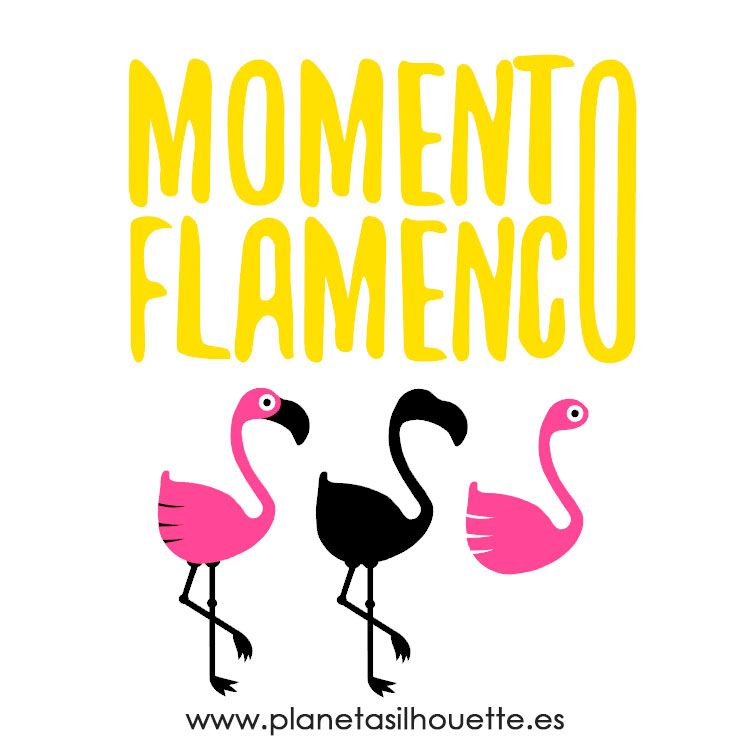 755x745 Momentoflamenco Elementos Imprimibles Silhouette Studio