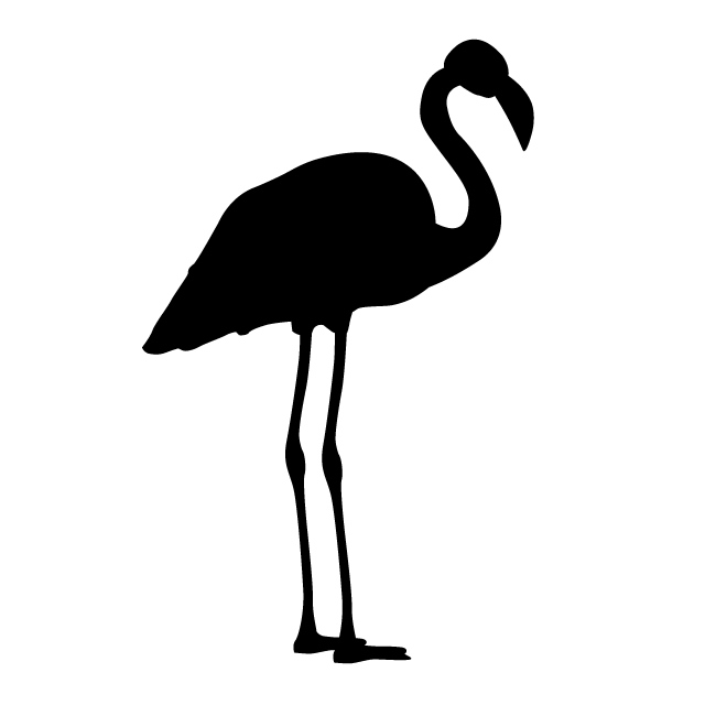 640x640 Flamingo Animal Silhouette Free Illustrations