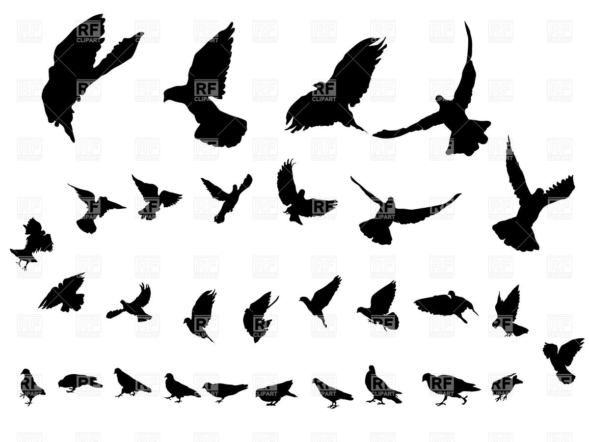 1200x900 Flying Dove Silhouettes Royalty Free Vector Clip Art Image