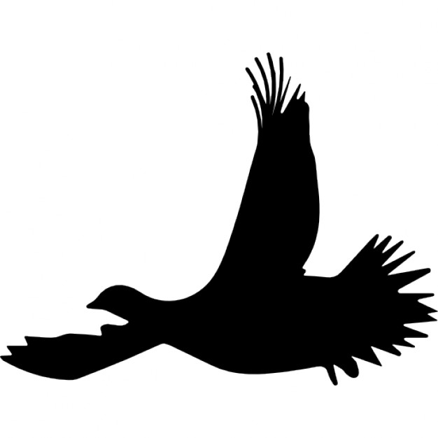 626x626 Grouse Bird Flying Silhouette Icons Free Download