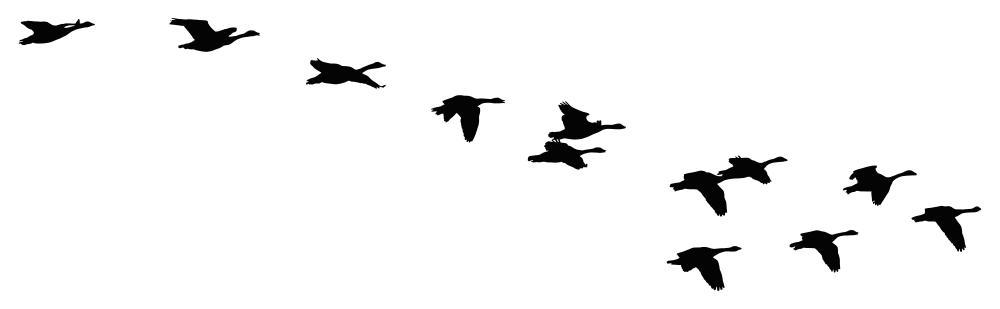 1000x309 Onlinelabels Clip Art